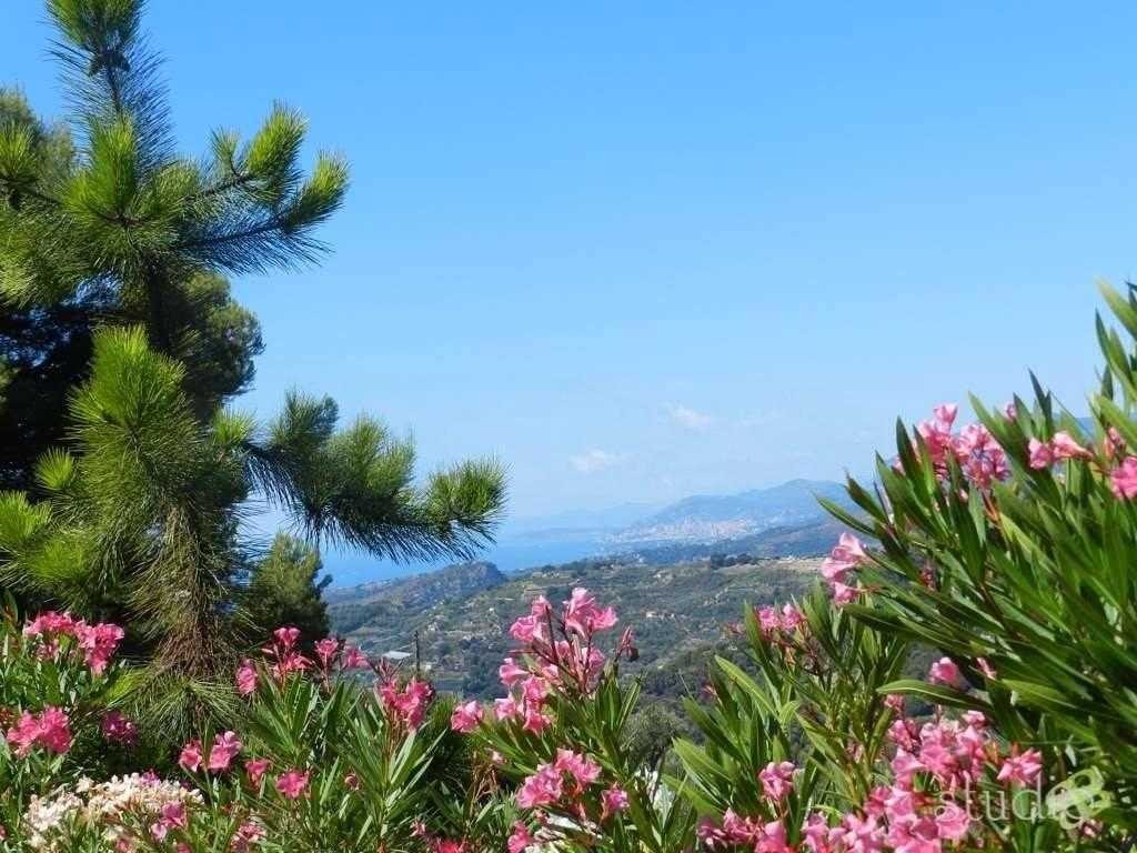  - foto 43