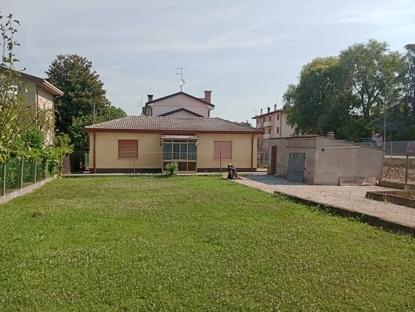 immagine annuncio 3 di 10