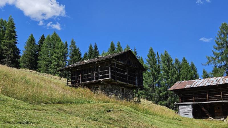 immagine annuncio 6 di 10