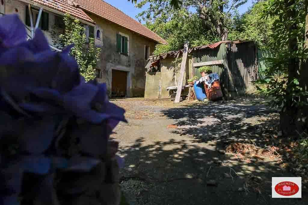  - foto 12