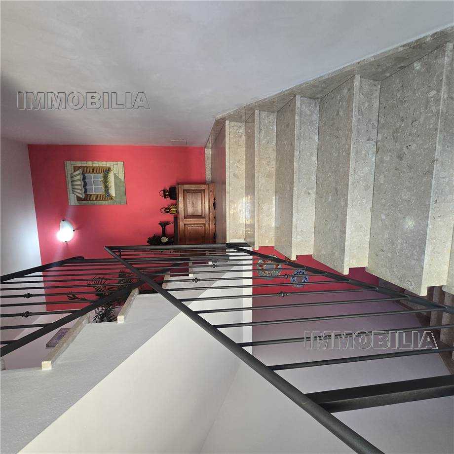  - foto 23