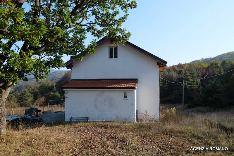  - foto 17