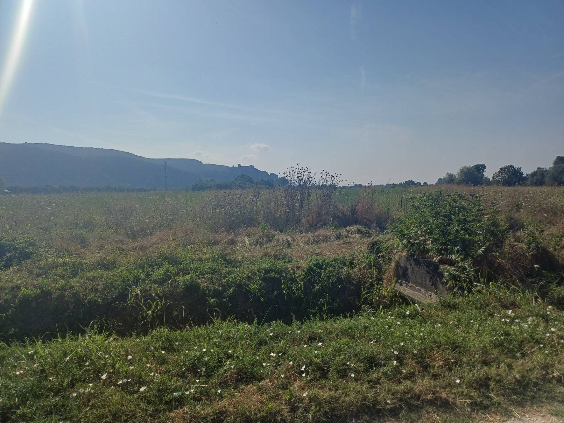 immagine annuncio 4 di 8