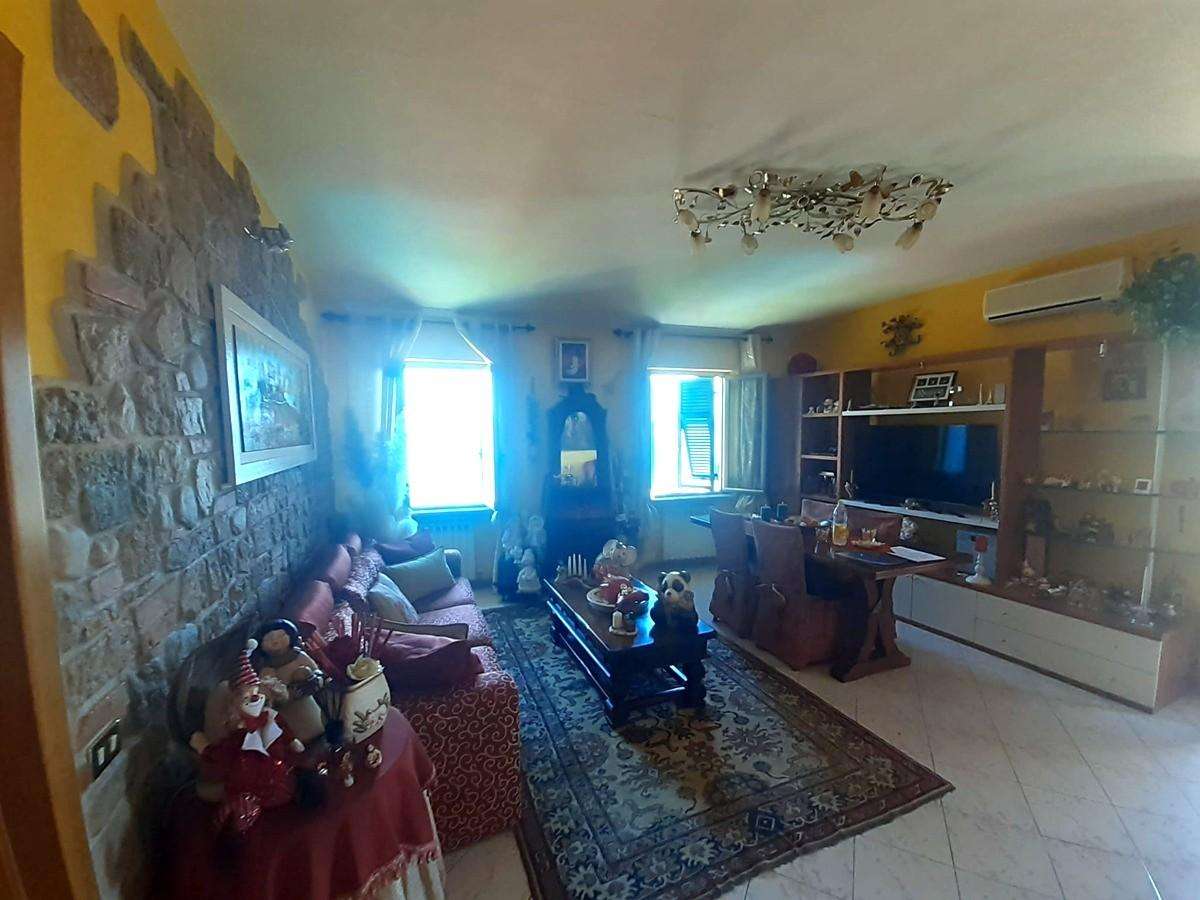 - foto 13