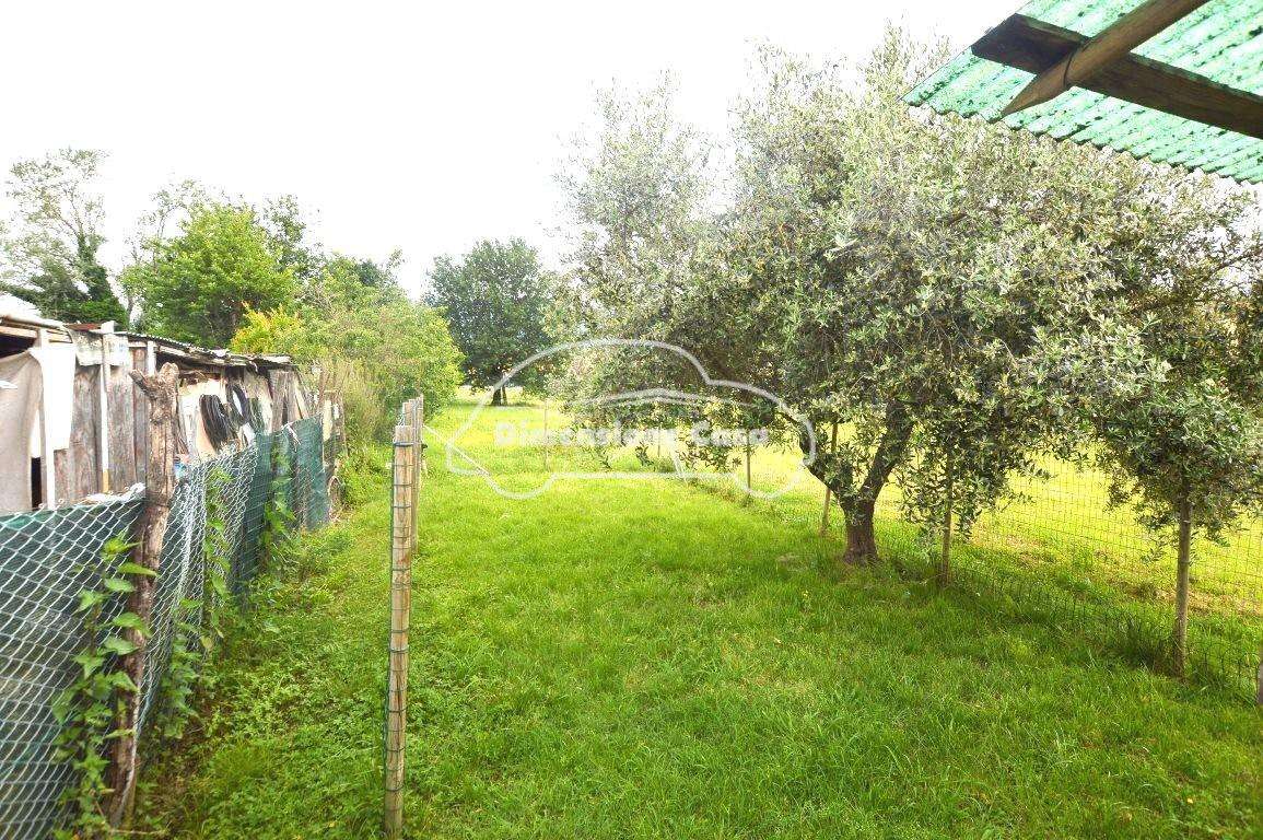  - foto 38