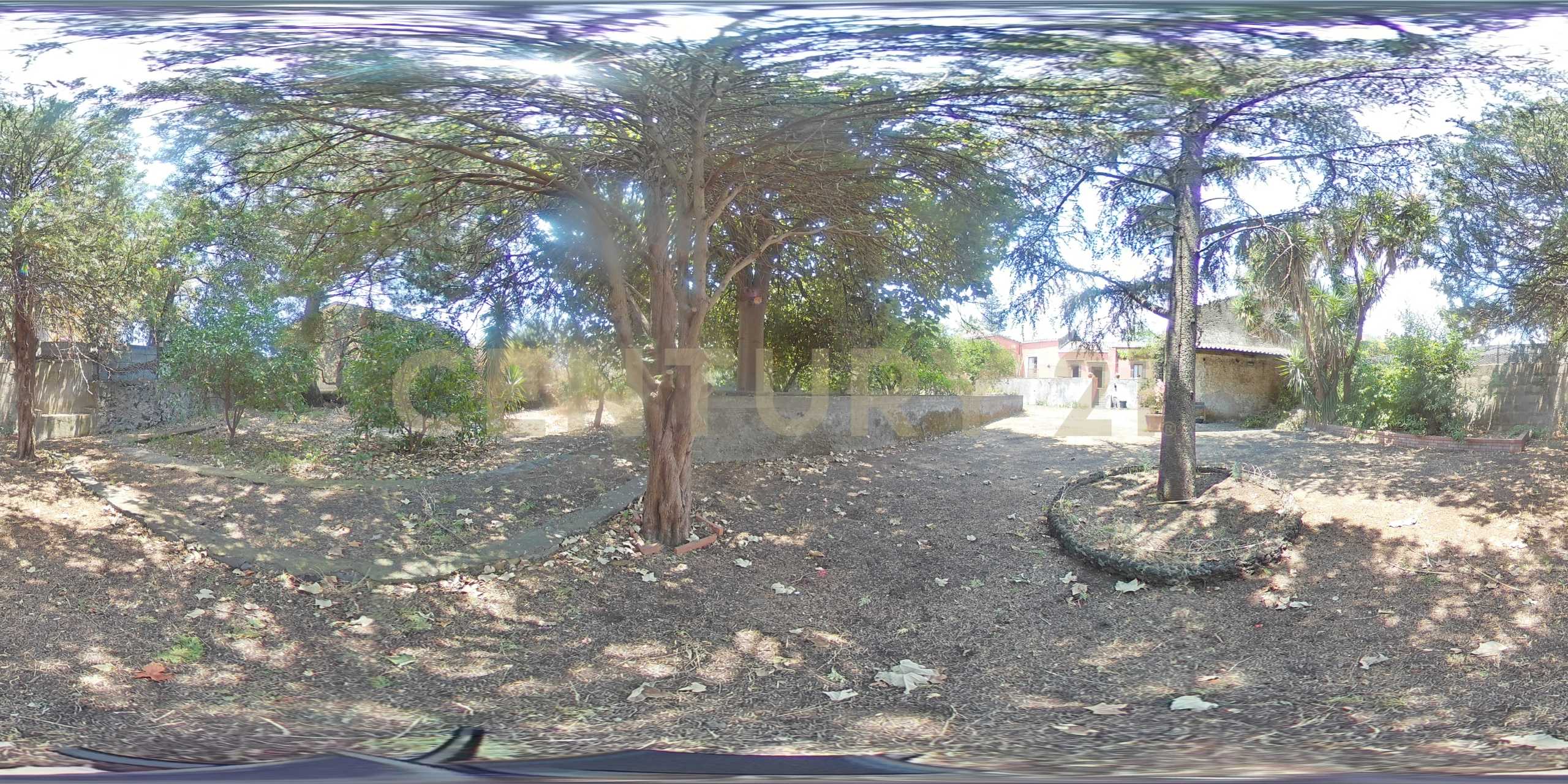 - foto 64
