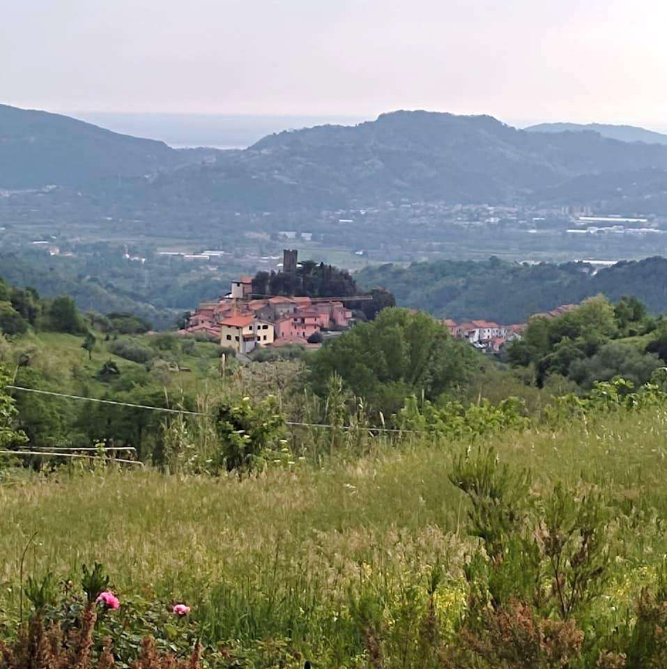 Rustico Falcinello, Sarzana