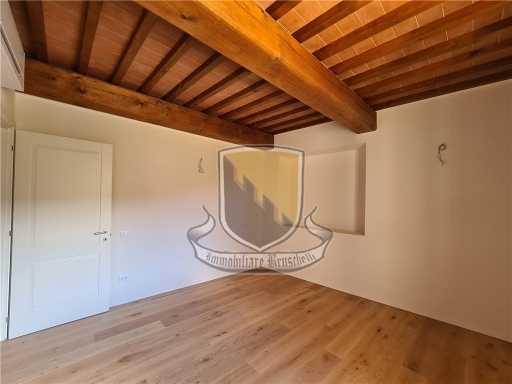  - foto 15