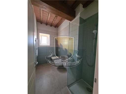  - foto 16