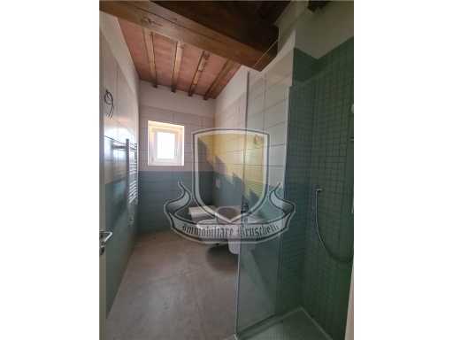  - foto 17