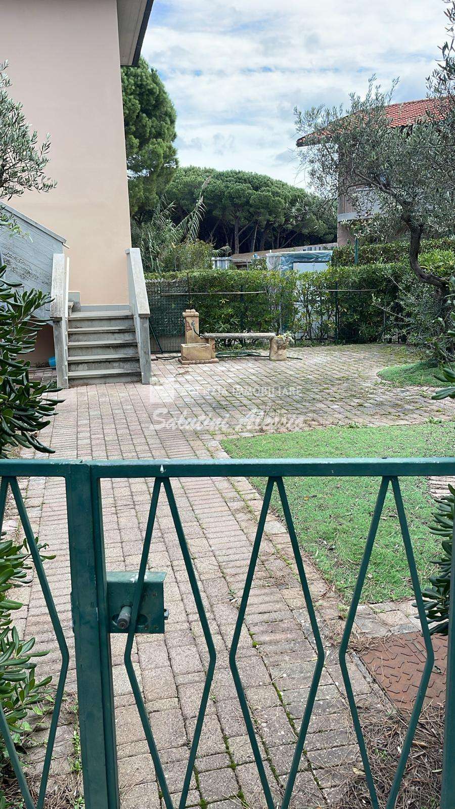  - foto 15