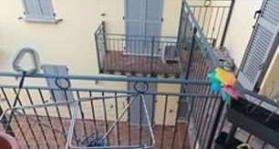 immagine annuncio 3 di 10