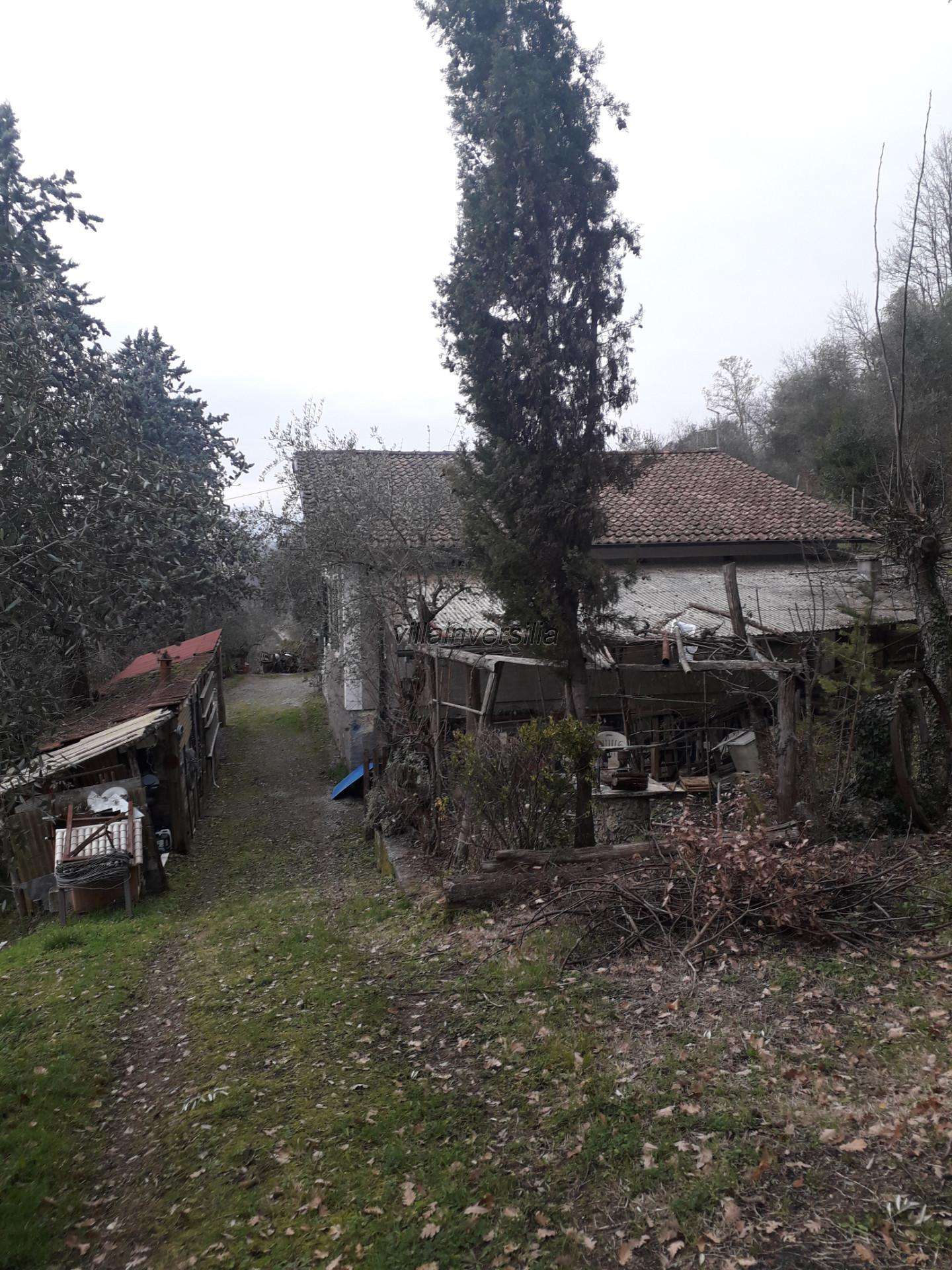  - foto 12