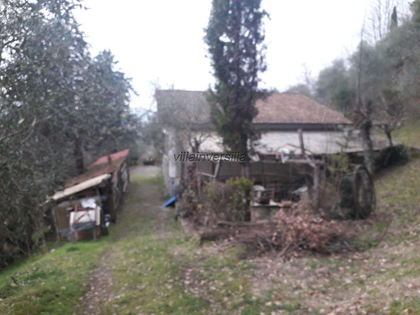  - foto 13