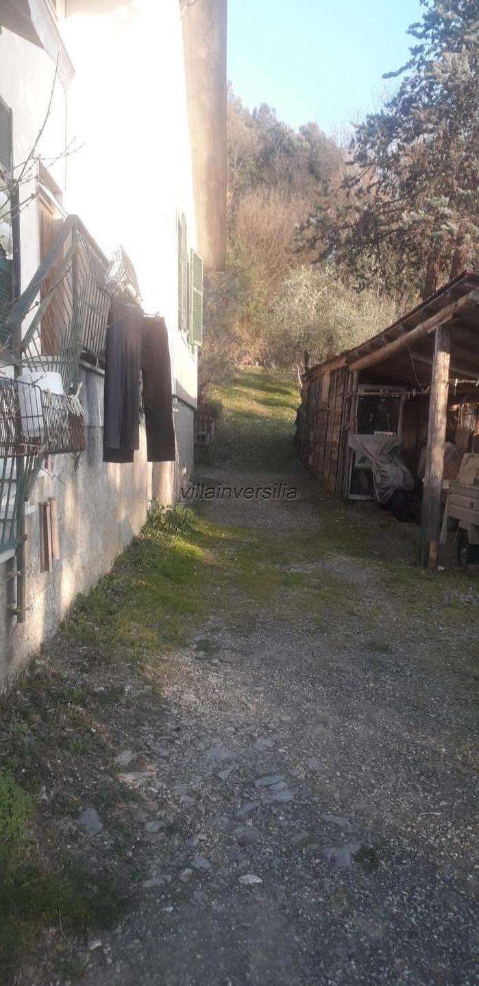  - foto 17