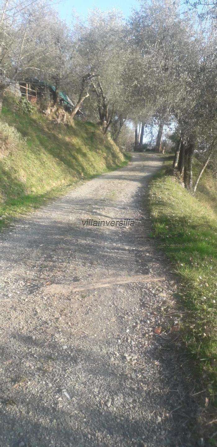  - foto 29