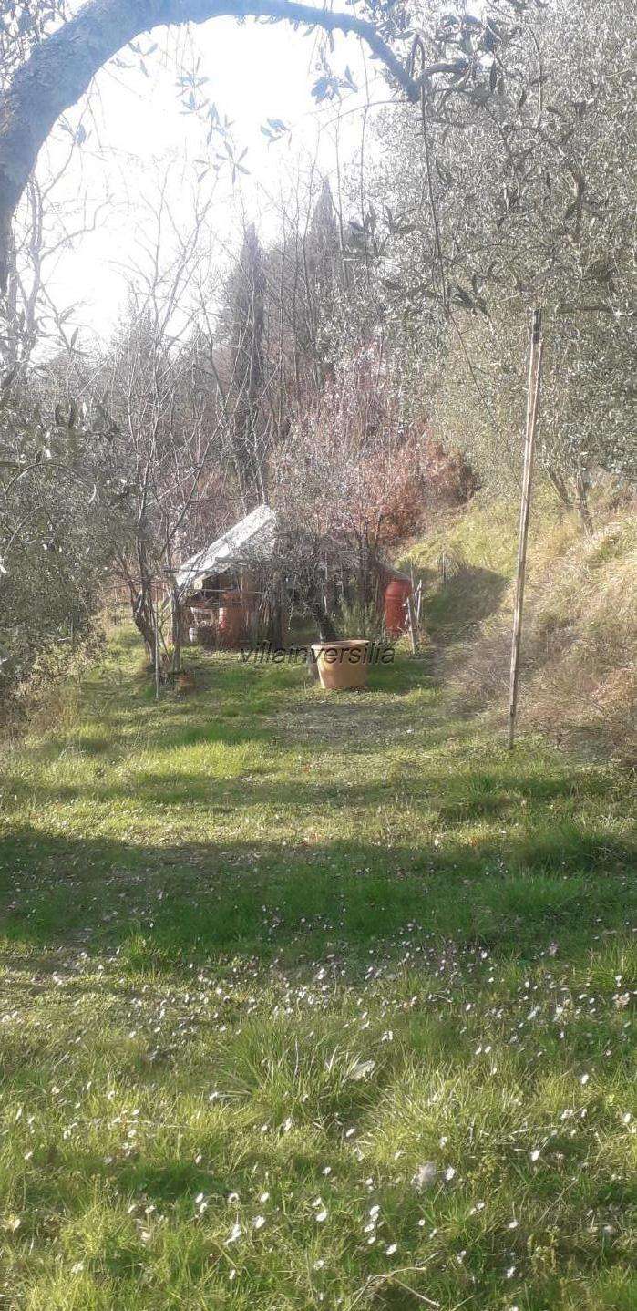  - foto 31