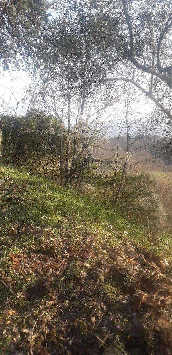  - foto 32