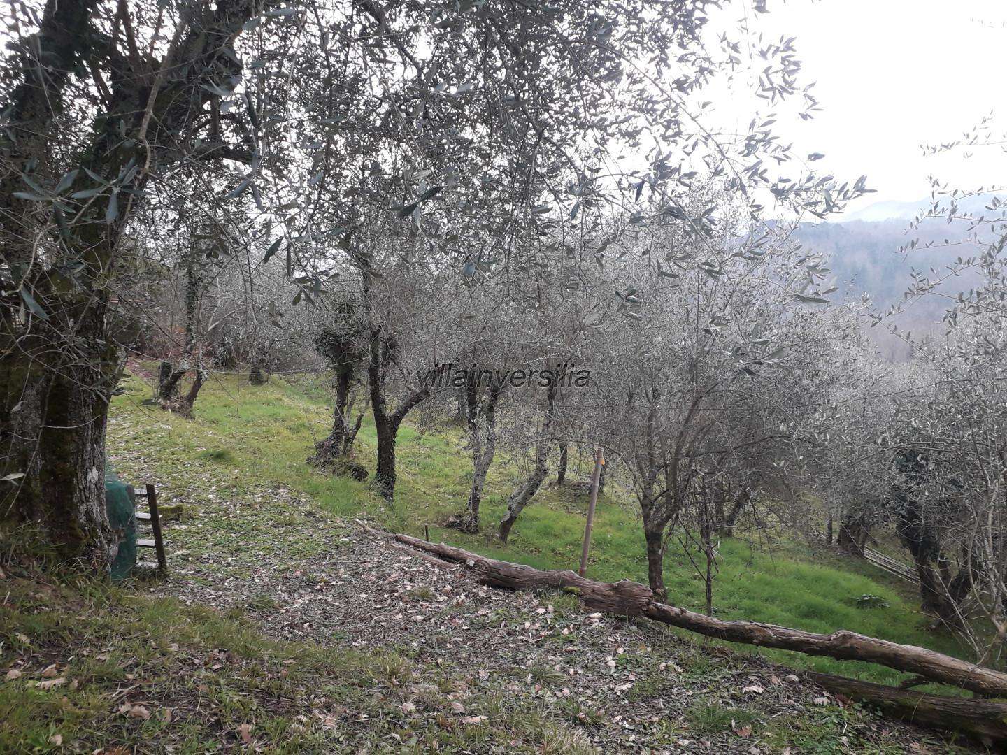  - foto 7