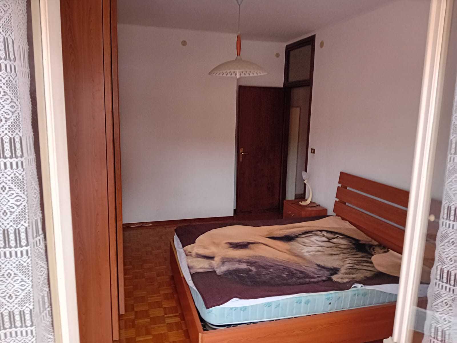  - foto 37