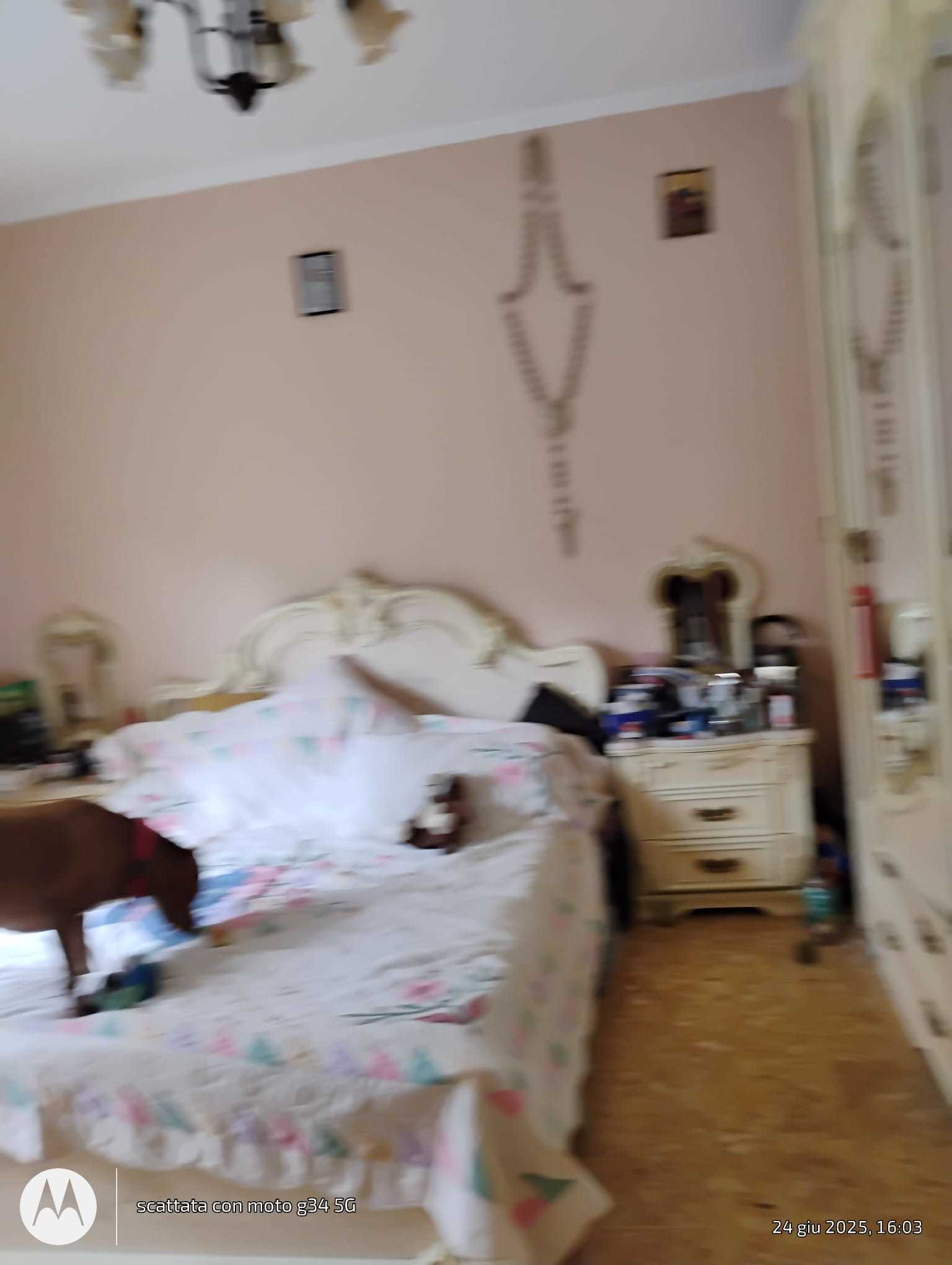  - foto 4
