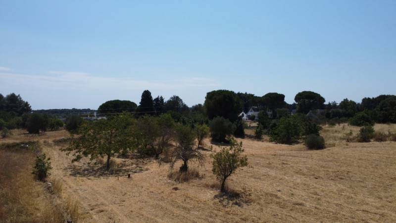 immagine annuncio 5 di 8