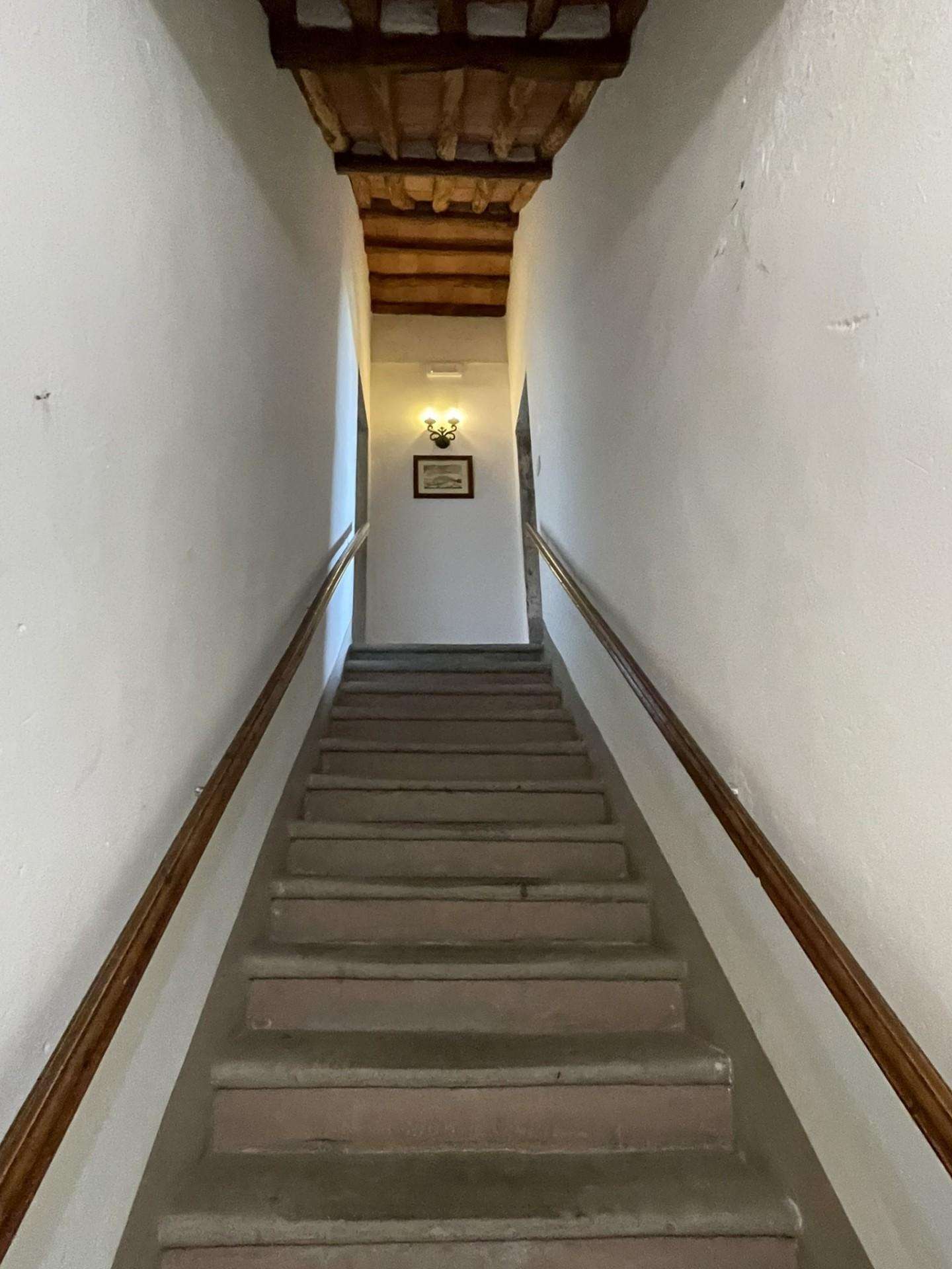  - foto 57