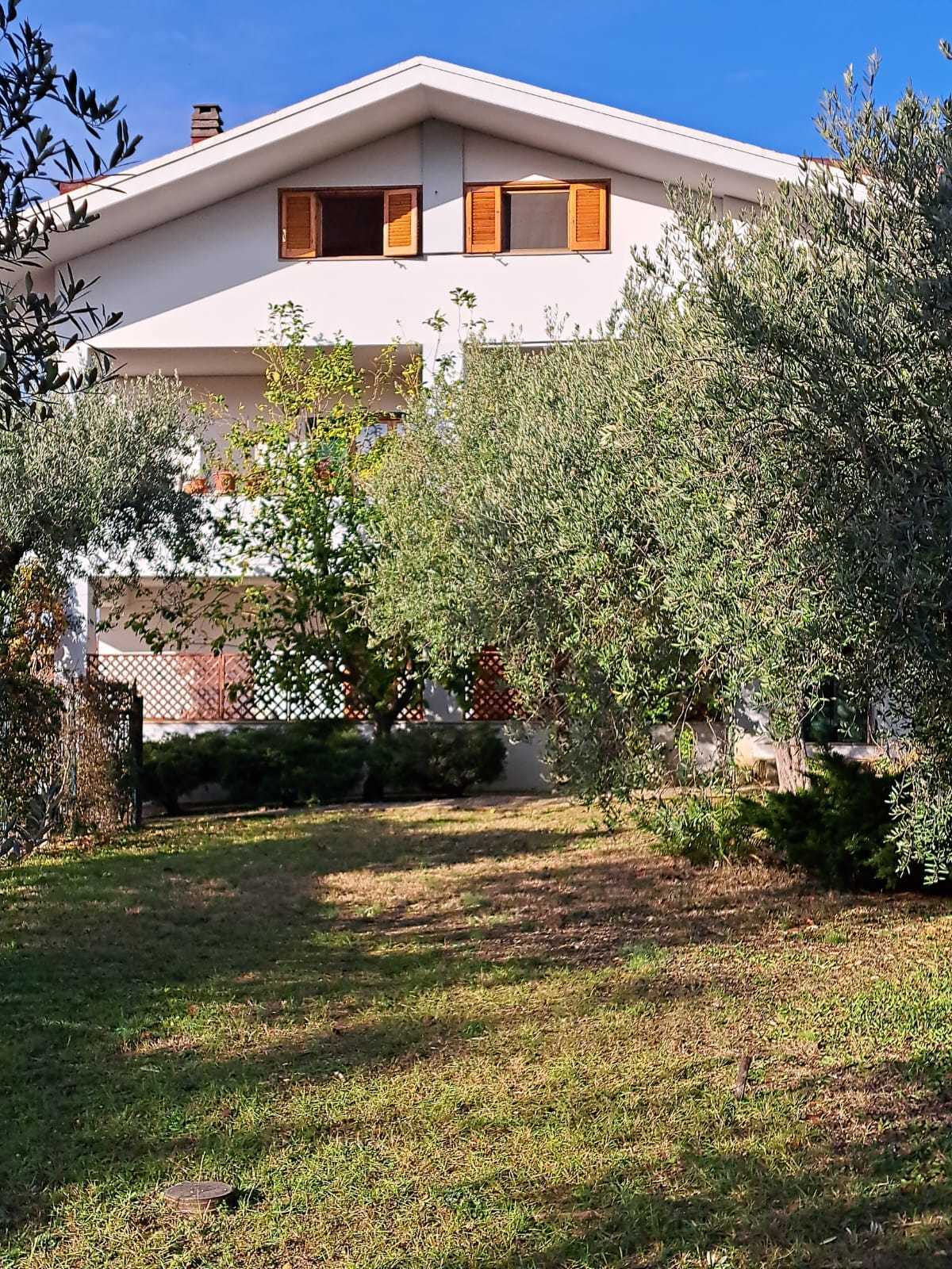 - foto 47