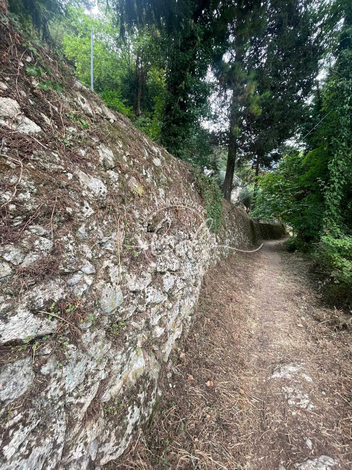  - foto 42