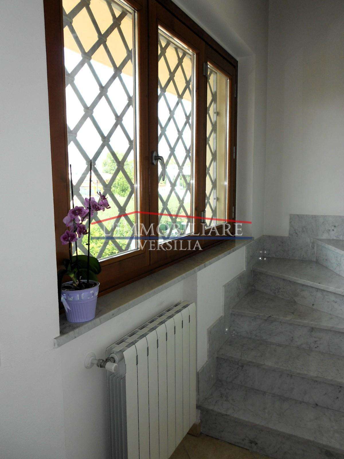  - foto 31