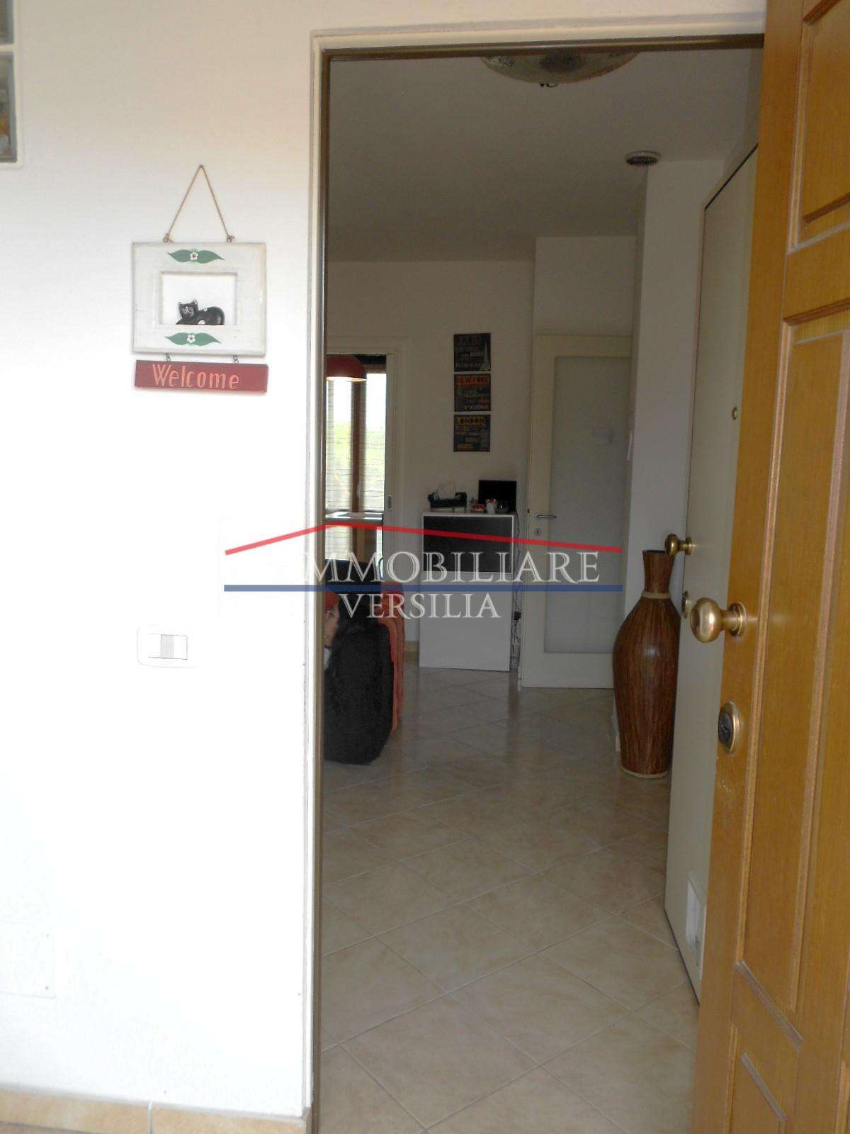  - foto 56
