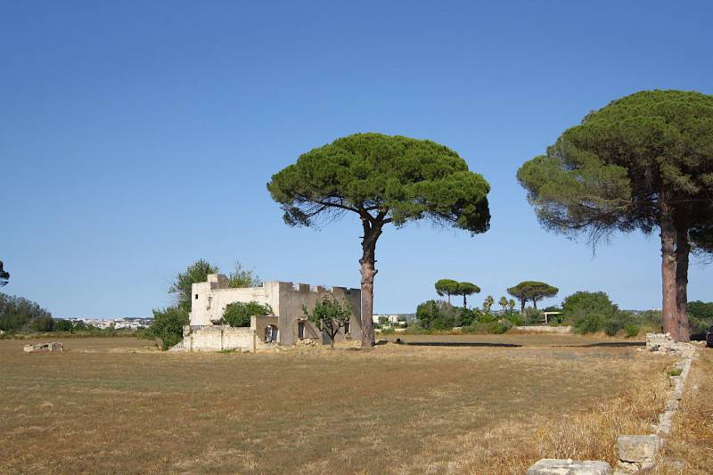immagine annuncio 6 di 10