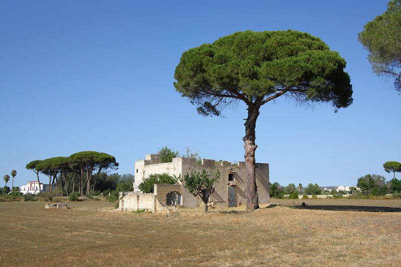 immagine annuncio 7 di 10
