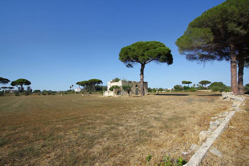 immagine annuncio 8 di 10