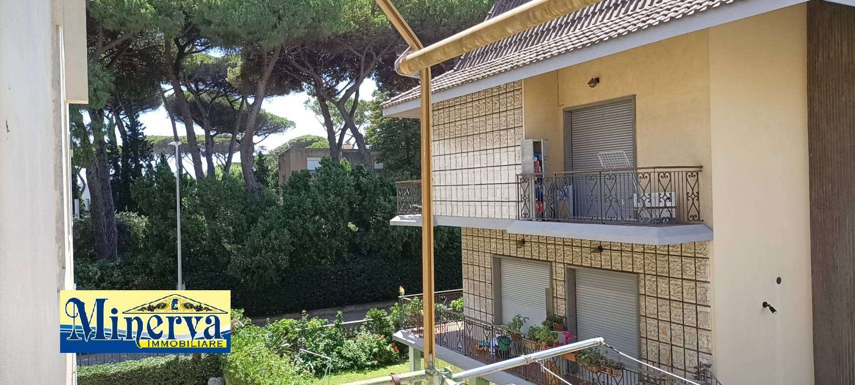  - foto 35