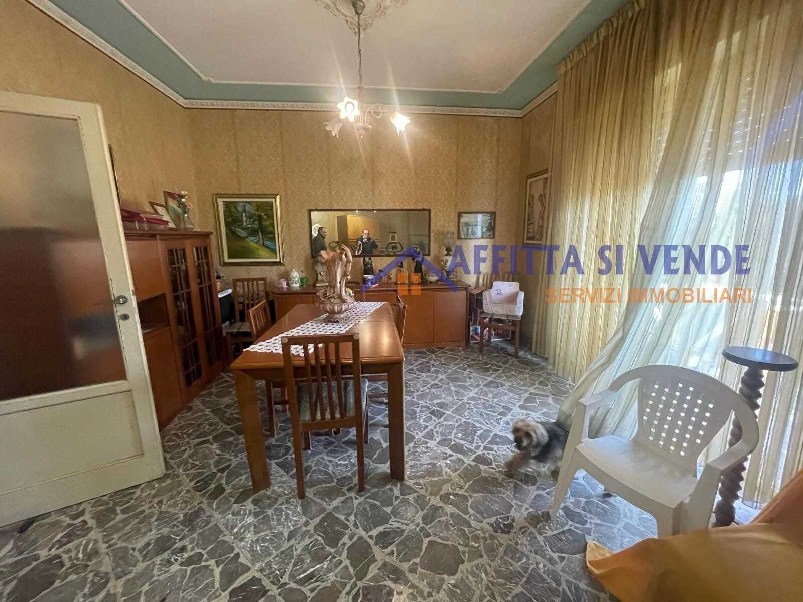  - foto 7