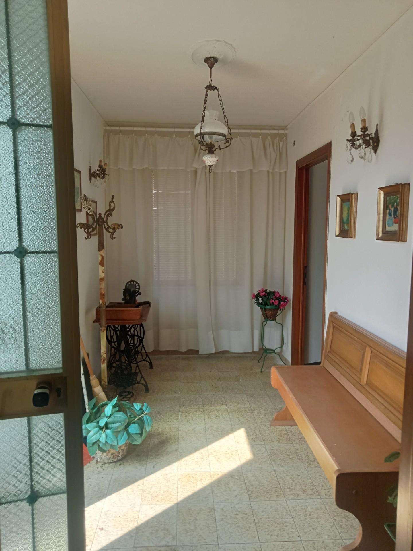  - foto 12