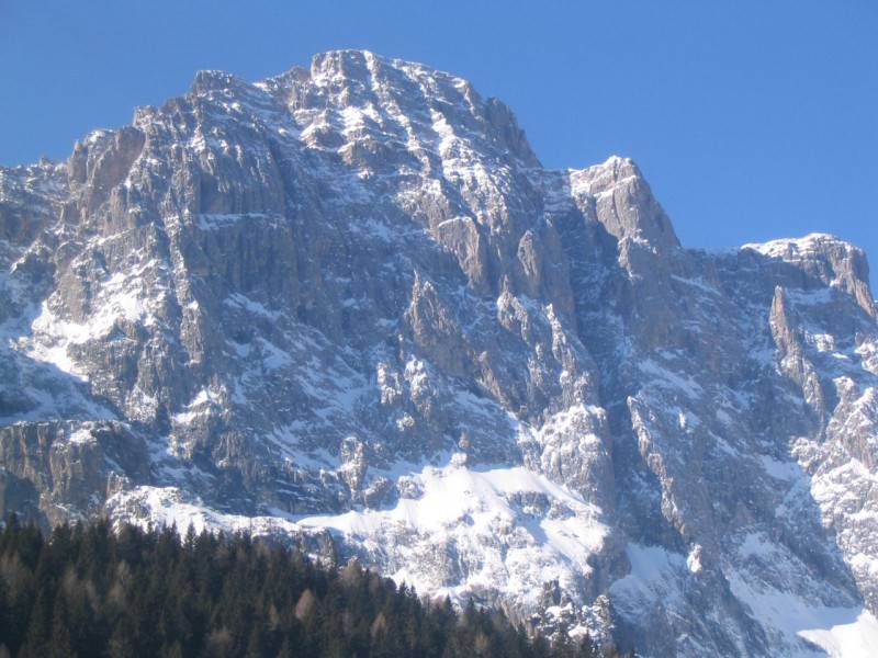 immagine annuncio 4 di 8