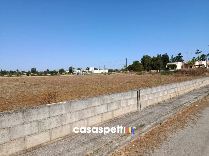 immagine annuncio 1 di 10