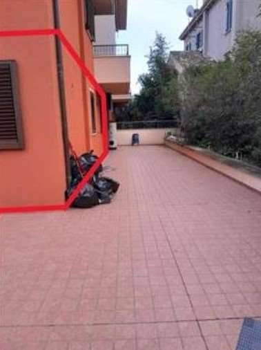 immagine annuncio 7 di 9