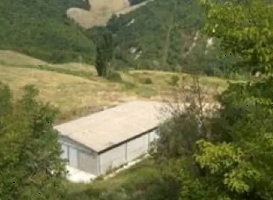 immagine annuncio 7 di 10