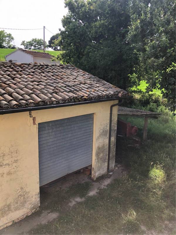 immagine annuncio 5 di 8