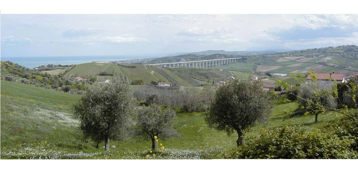 immagine annuncio 1 di 2