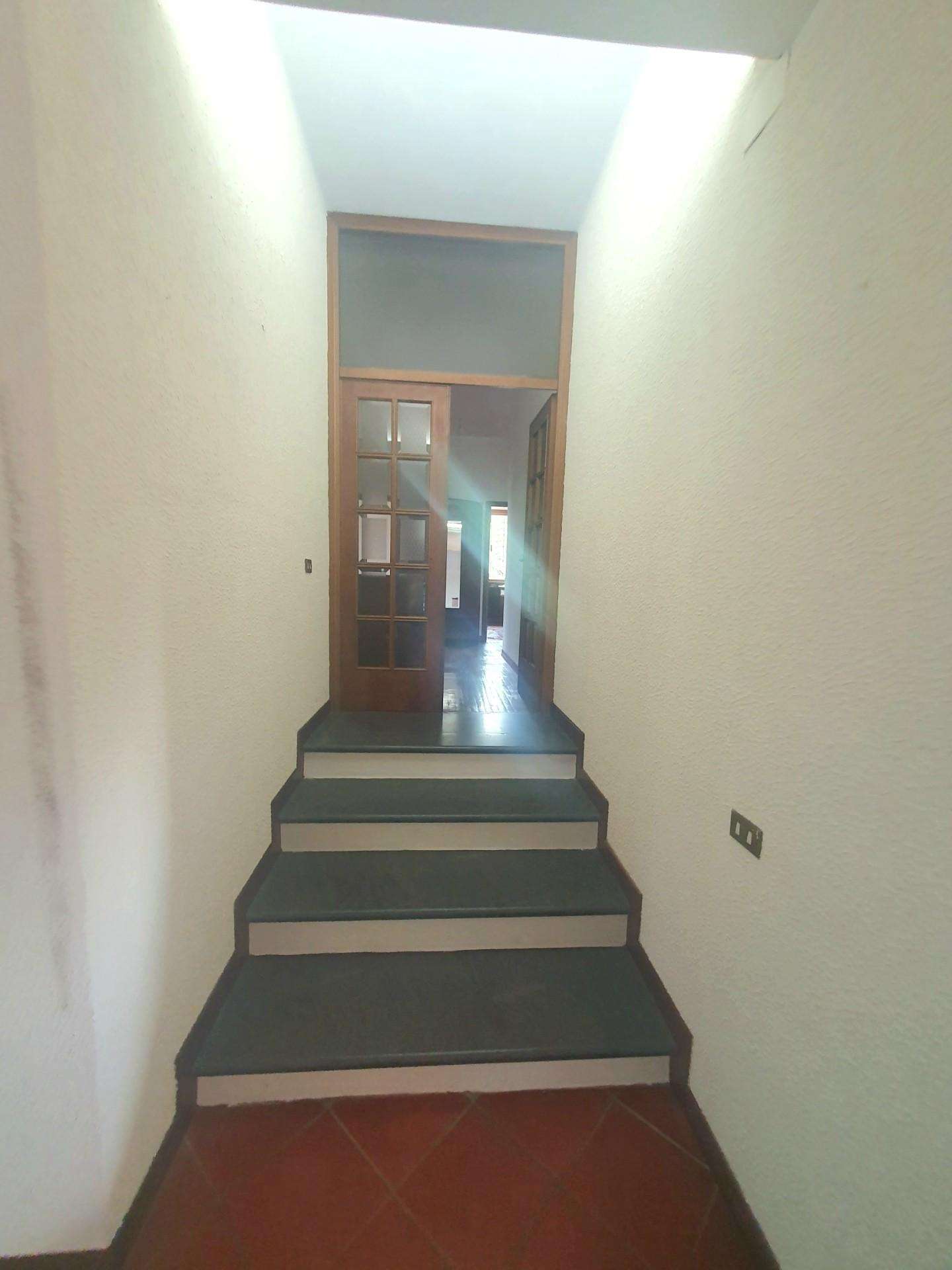  - foto 32