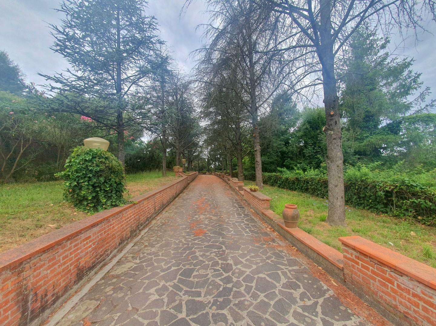  - foto 84