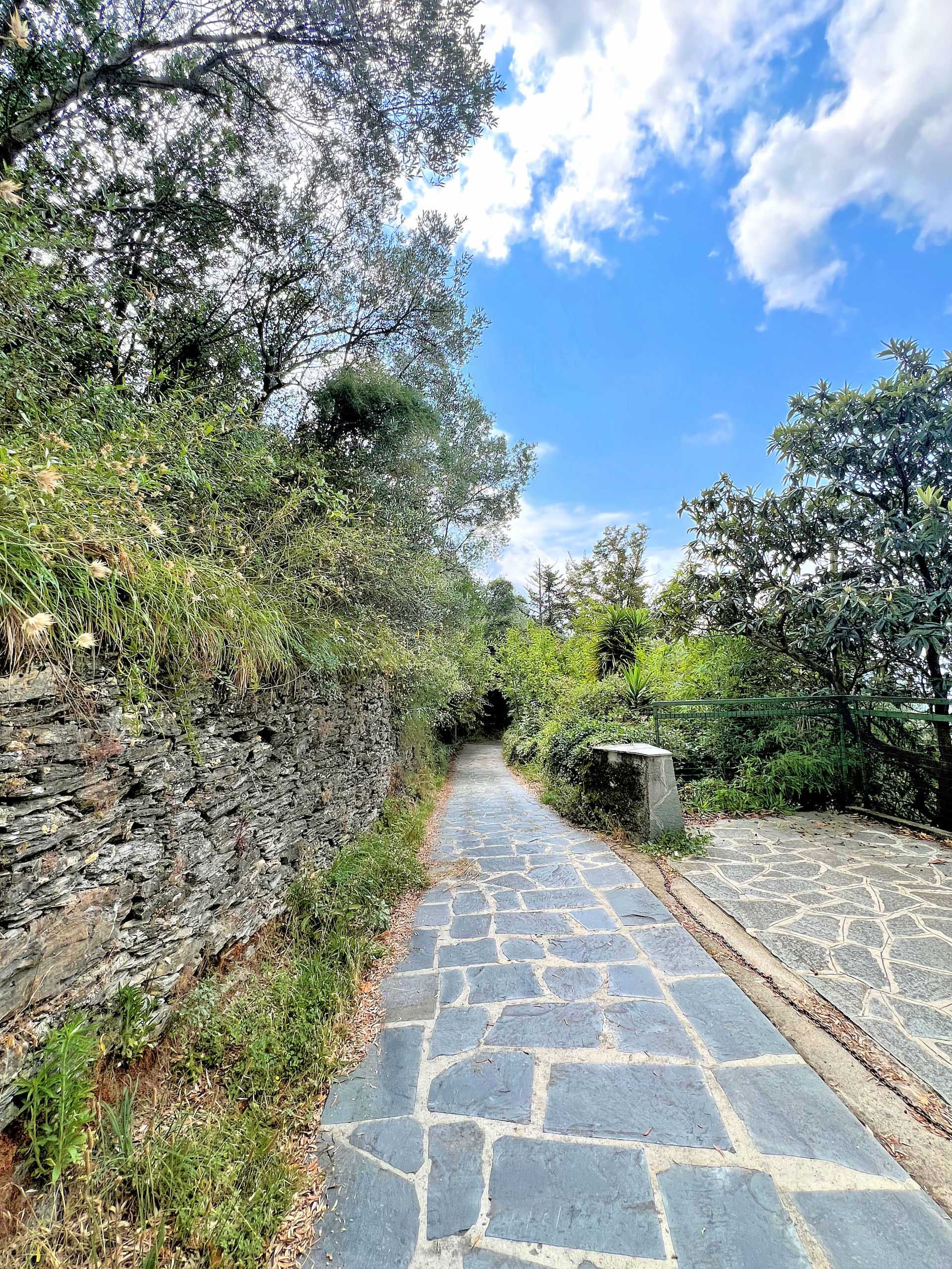  - foto 28