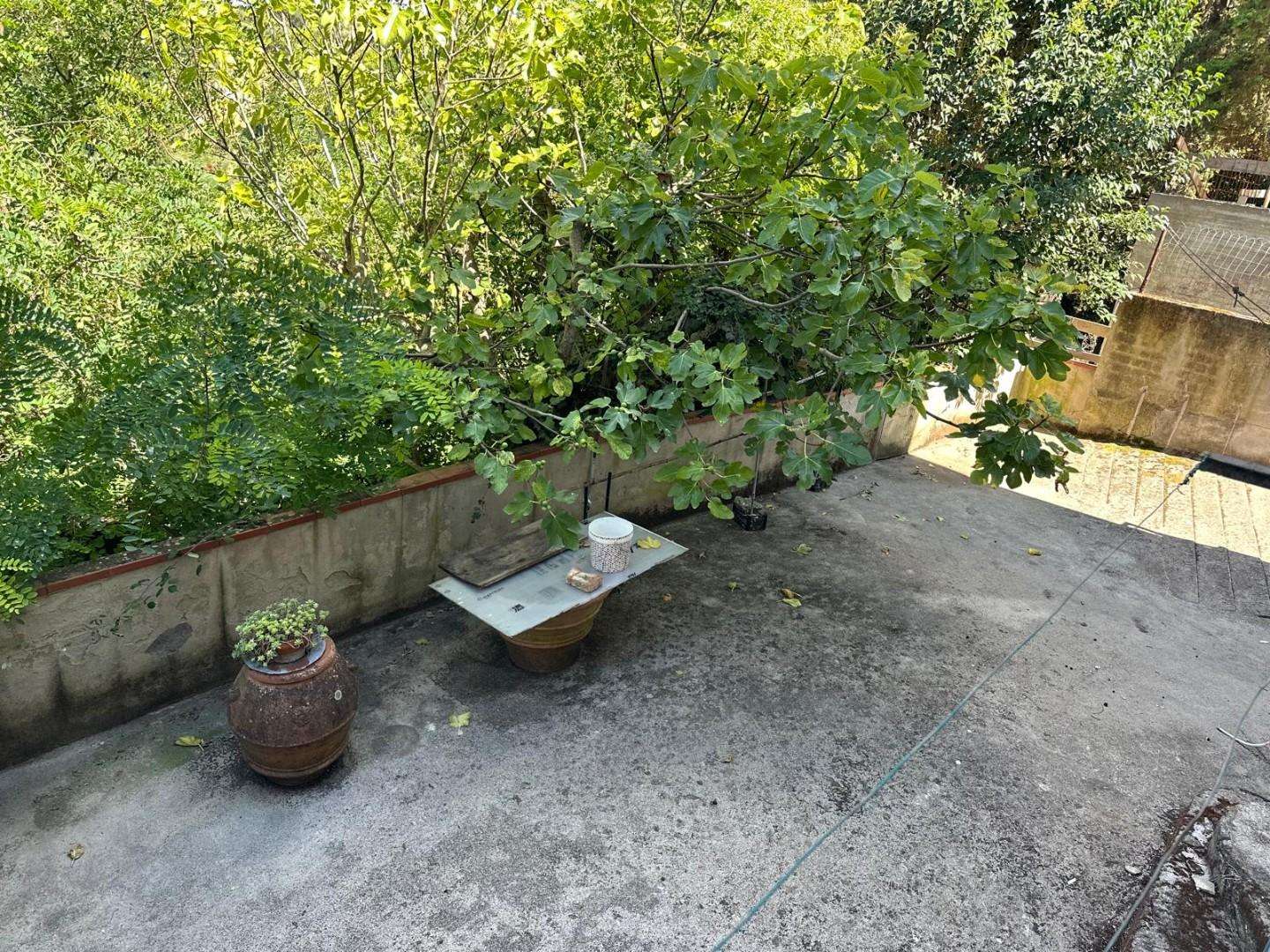  - foto 16