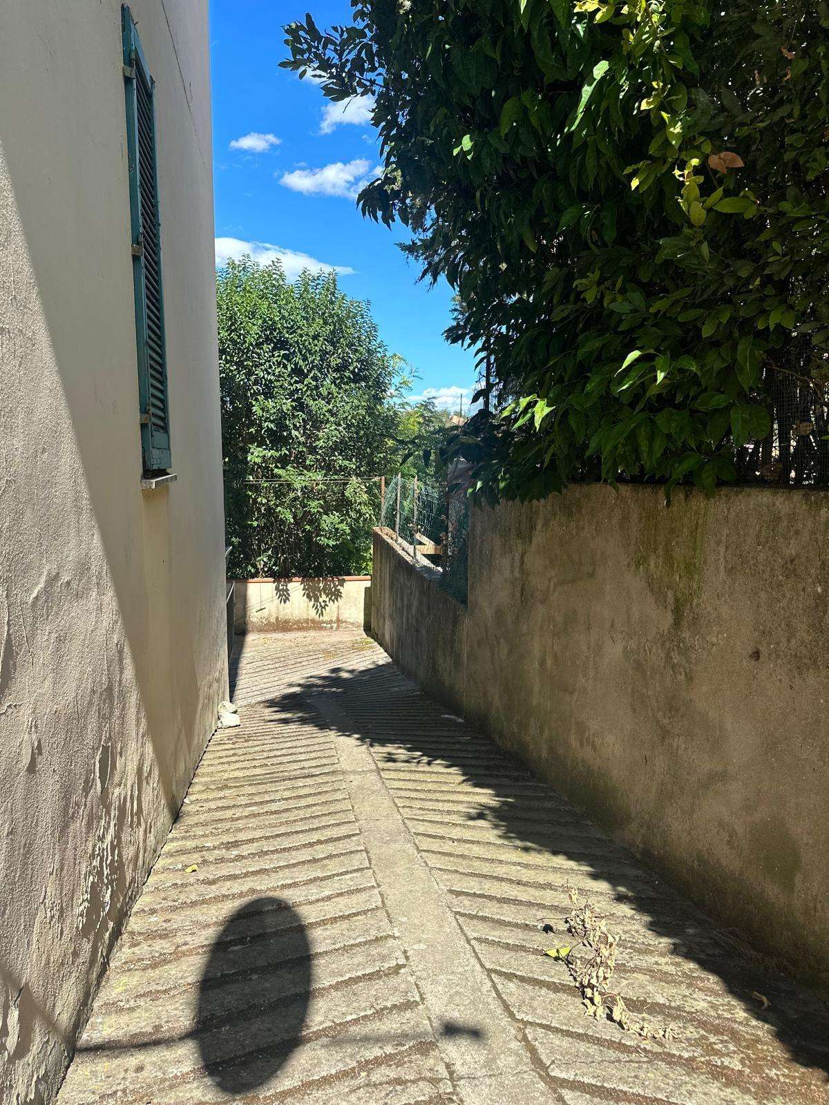  - foto 51