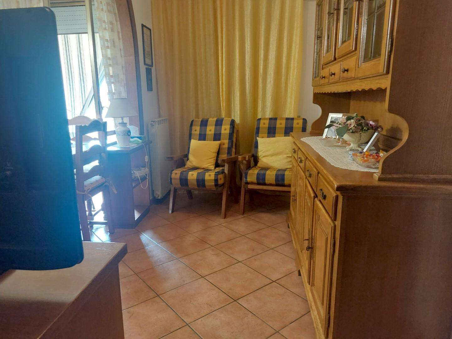 immagine annuncio 12 di 14