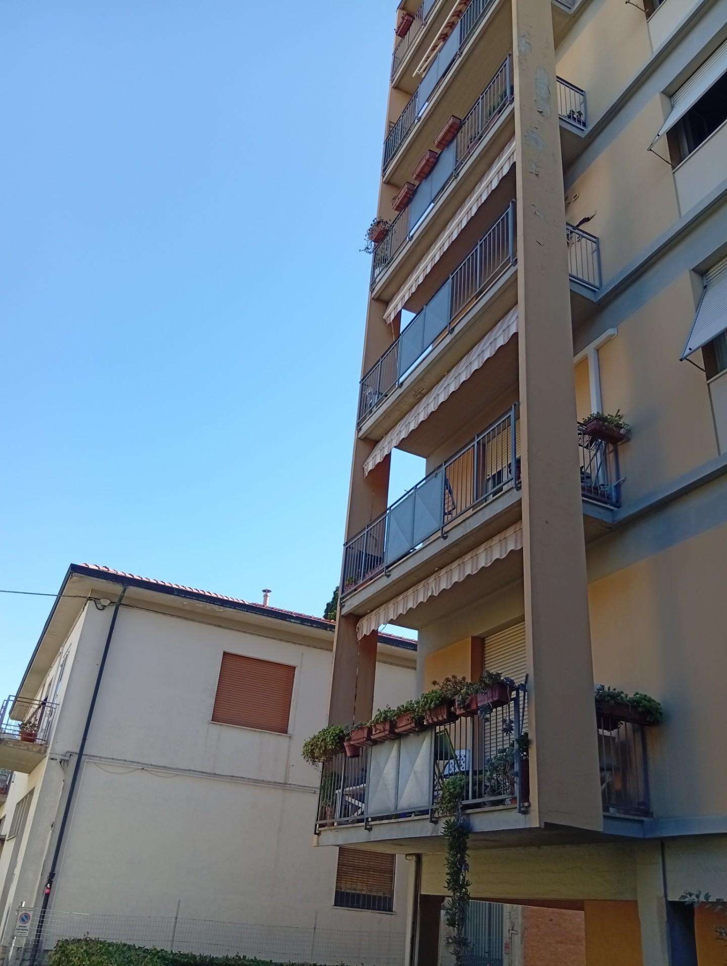 immagine annuncio 7 di 14